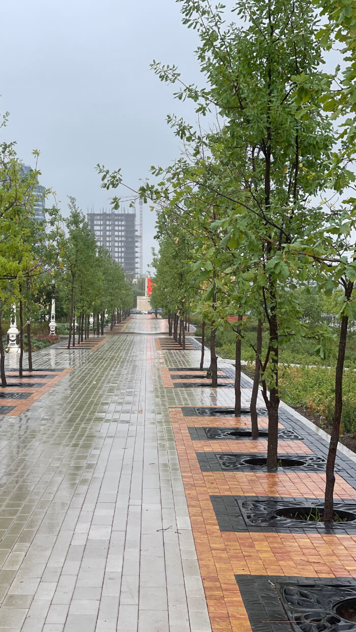 Приствольная решетка для дерева ZKING CRUST 1.2х1.2м Черная в Чусовом фото