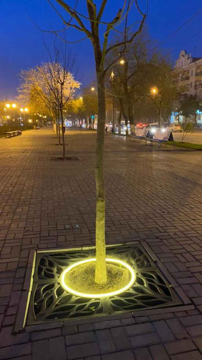 Приствольная решетка для дерева ZKING CRUST 1.2х1.2м Черная в Чусовом фото